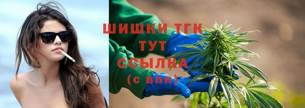 spice Козельск