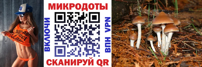 Псилоцибиновые грибы GOLDEN TEACHER  Краснослободск 